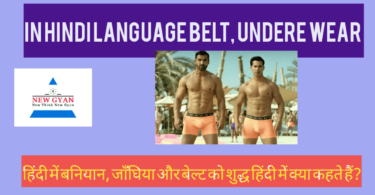 baniyan belt underwear ko shuddh Hindi mein kya kahate Hain