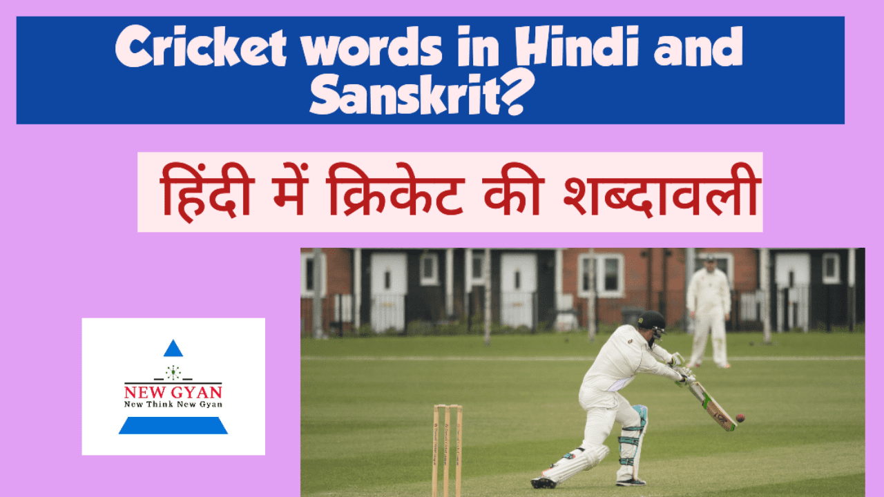 cricket word meaning in Hindi language most popular